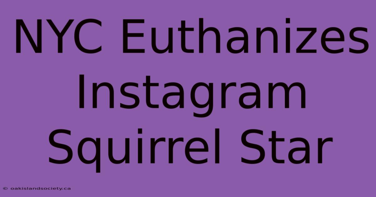 NYC Euthanizes Instagram Squirrel Star