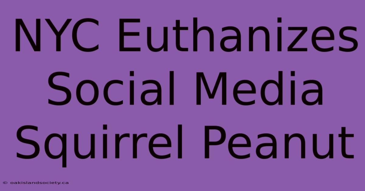 NYC Euthanizes Social Media Squirrel Peanut