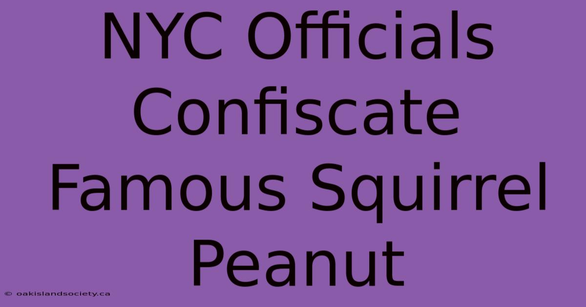 NYC Officials Confiscate Famous Squirrel Peanut