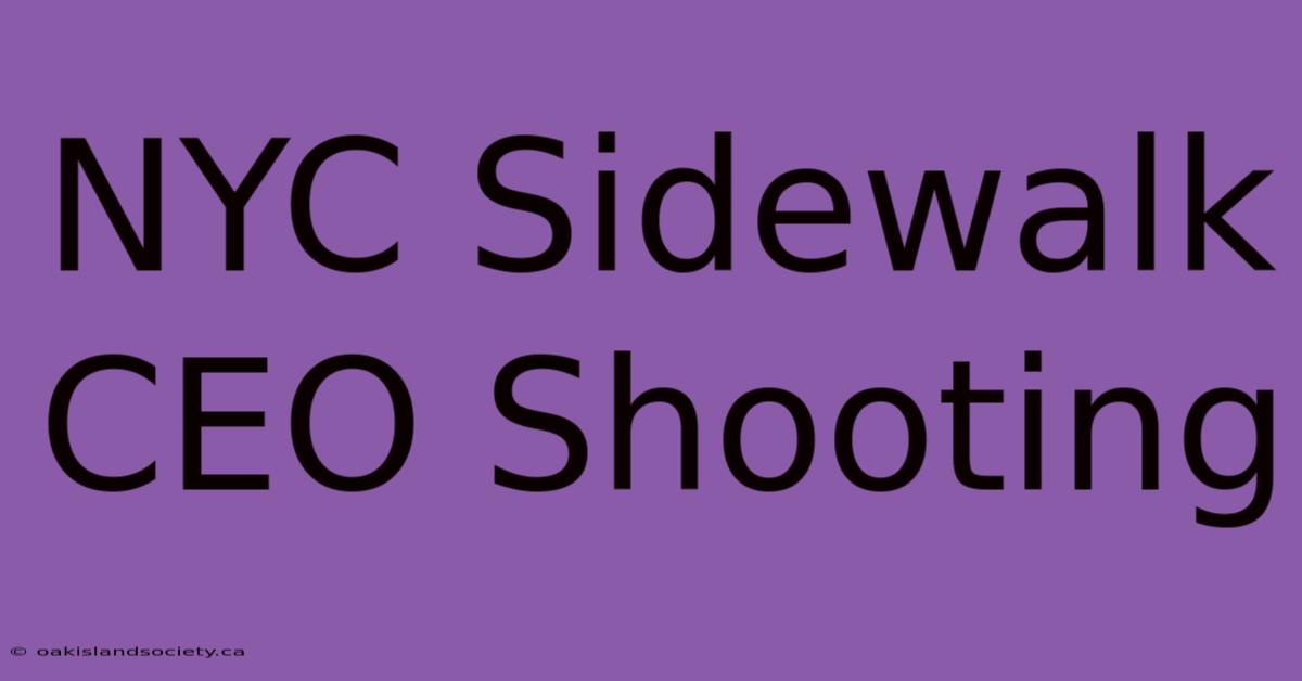 NYC Sidewalk CEO Shooting