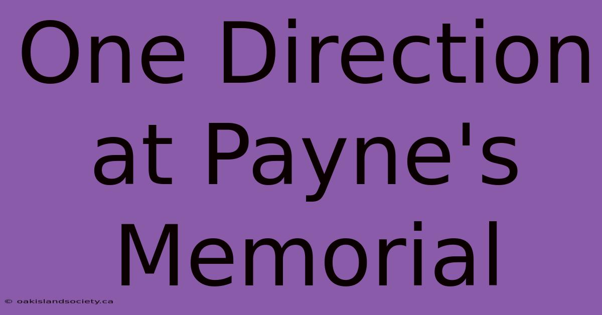 One Direction At Payne's Memorial