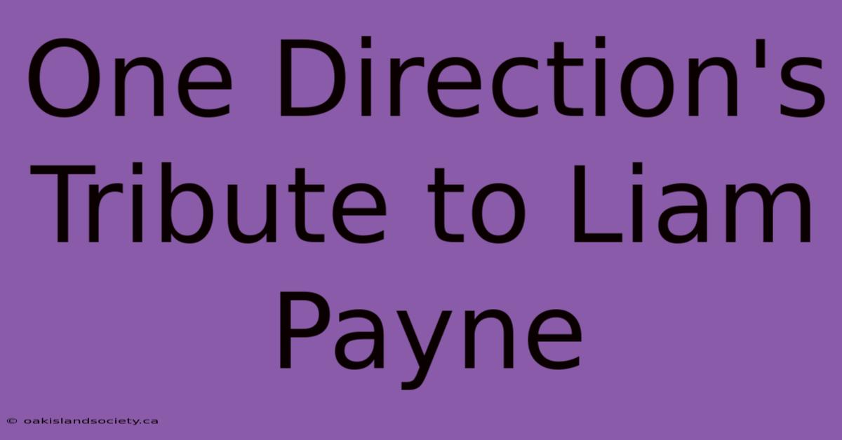 One Direction's Tribute To Liam Payne