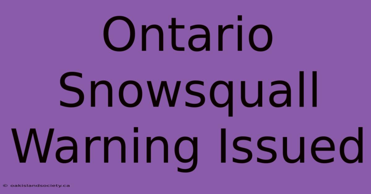 Ontario Snowsquall Warning Issued