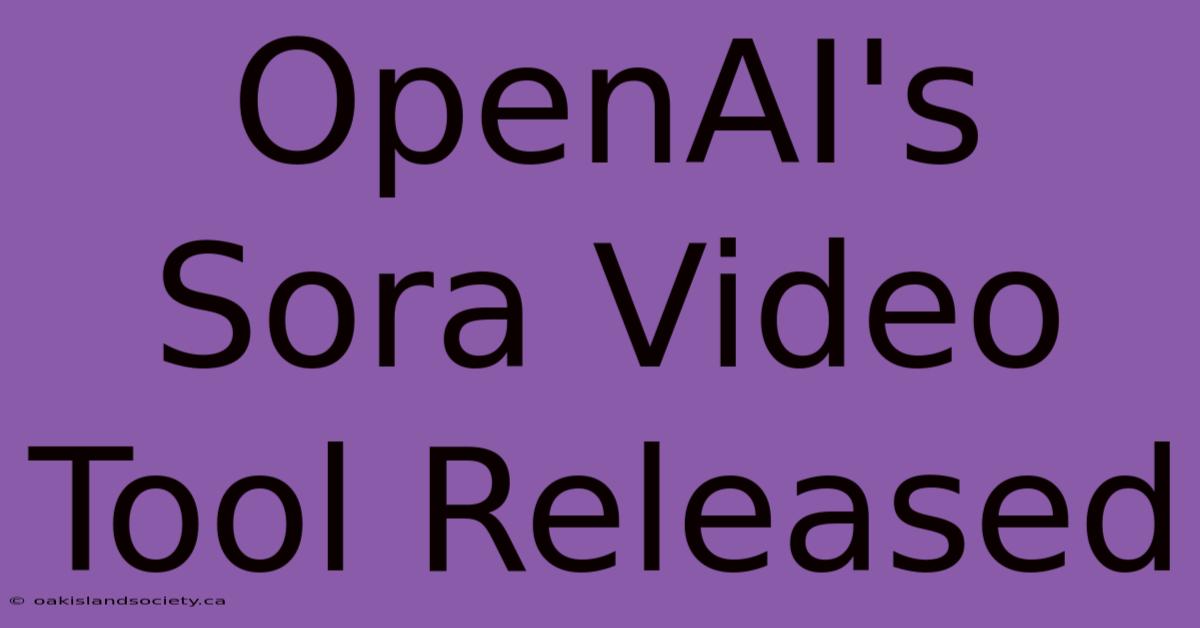 OpenAI's Sora Video Tool Released