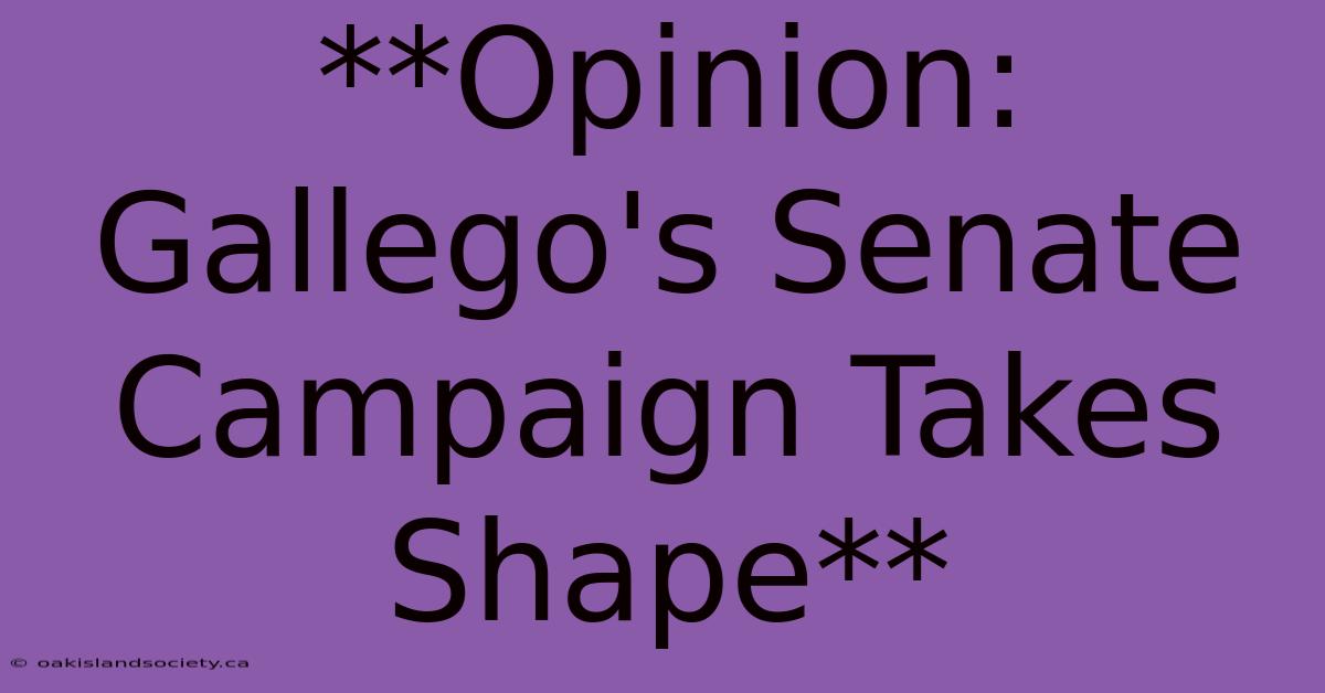 **Opinion: Gallego's Senate Campaign Takes Shape** 