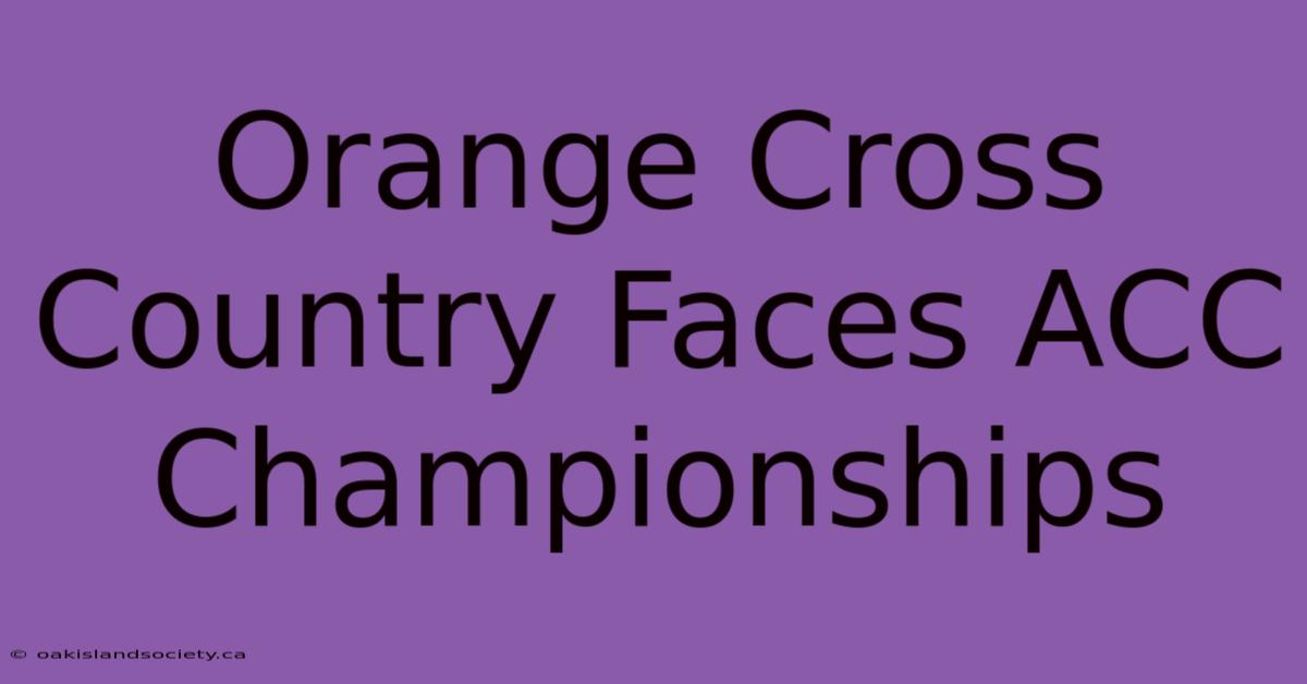 Orange Cross Country Faces ACC Championships