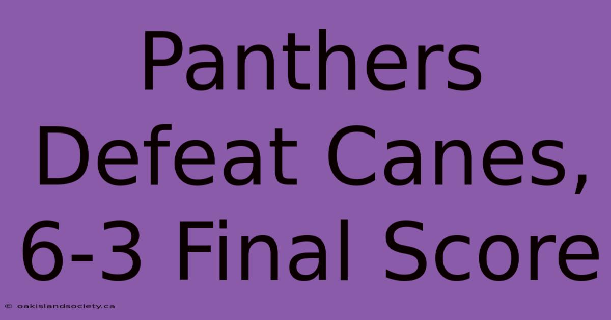 Panthers Defeat Canes, 6-3 Final Score