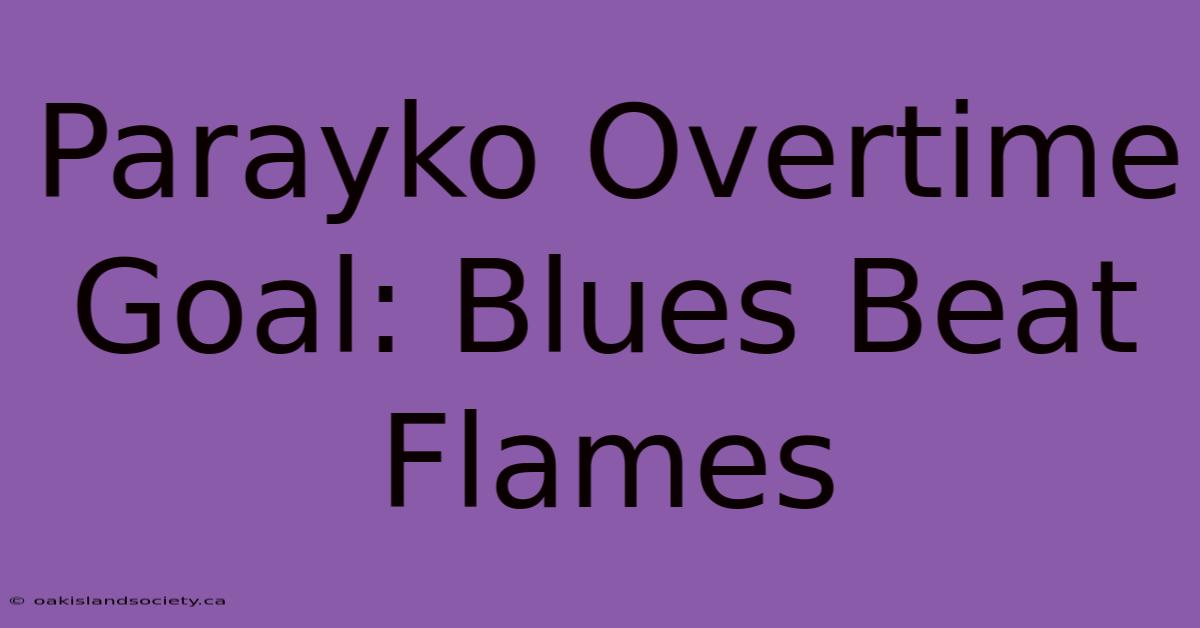 Parayko Overtime Goal: Blues Beat Flames