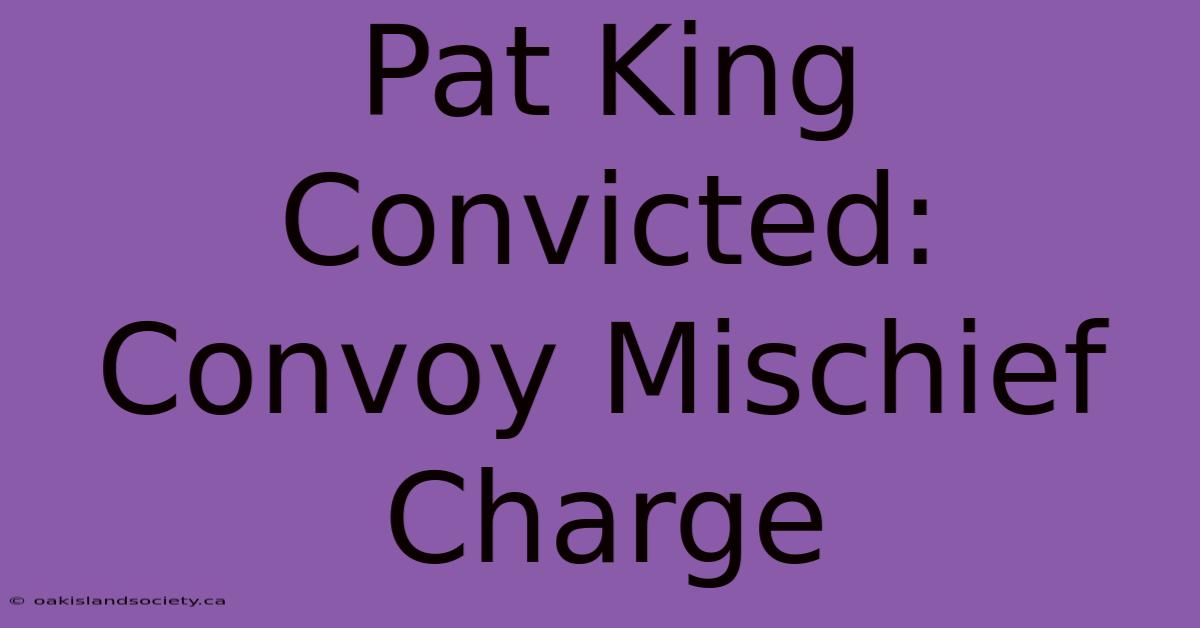 Pat King Convicted: Convoy Mischief Charge