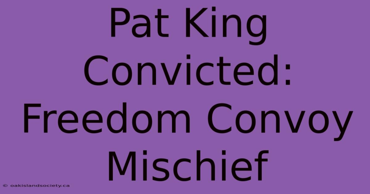 Pat King Convicted: Freedom Convoy Mischief