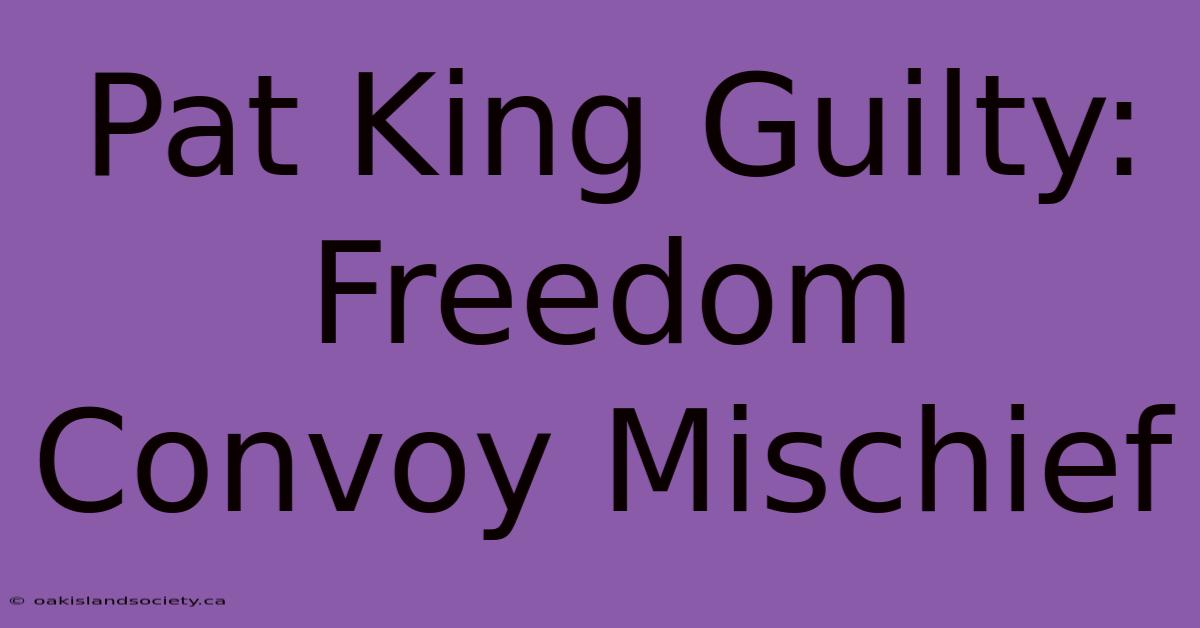 Pat King Guilty: Freedom Convoy Mischief