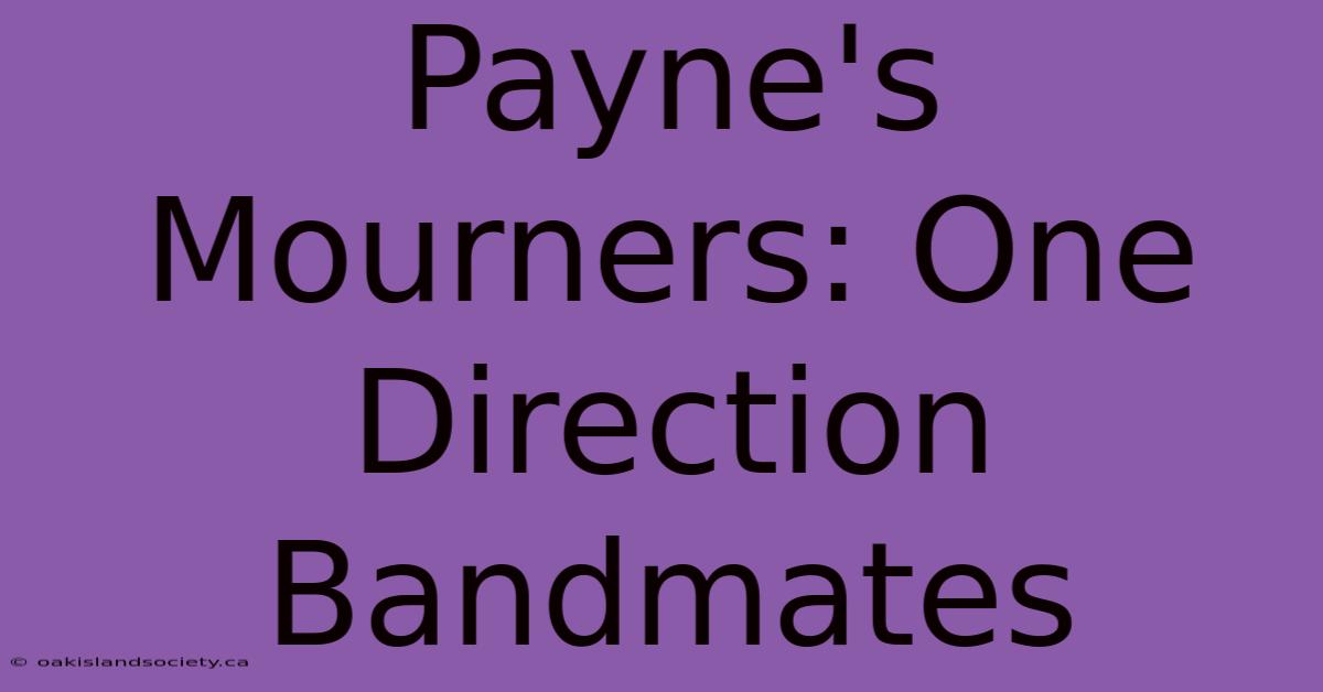 Payne's Mourners: One Direction Bandmates