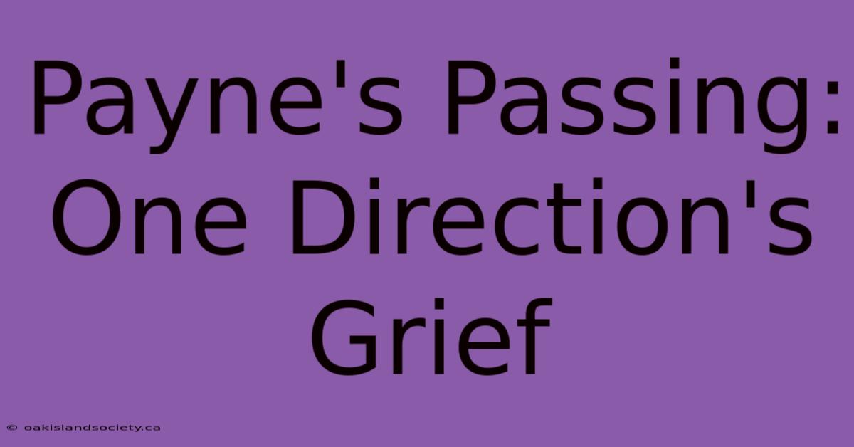 Payne's Passing: One Direction's Grief