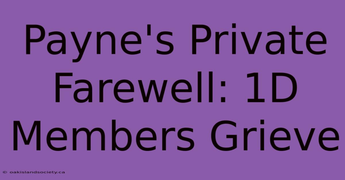 Payne's Private Farewell: 1D Members Grieve