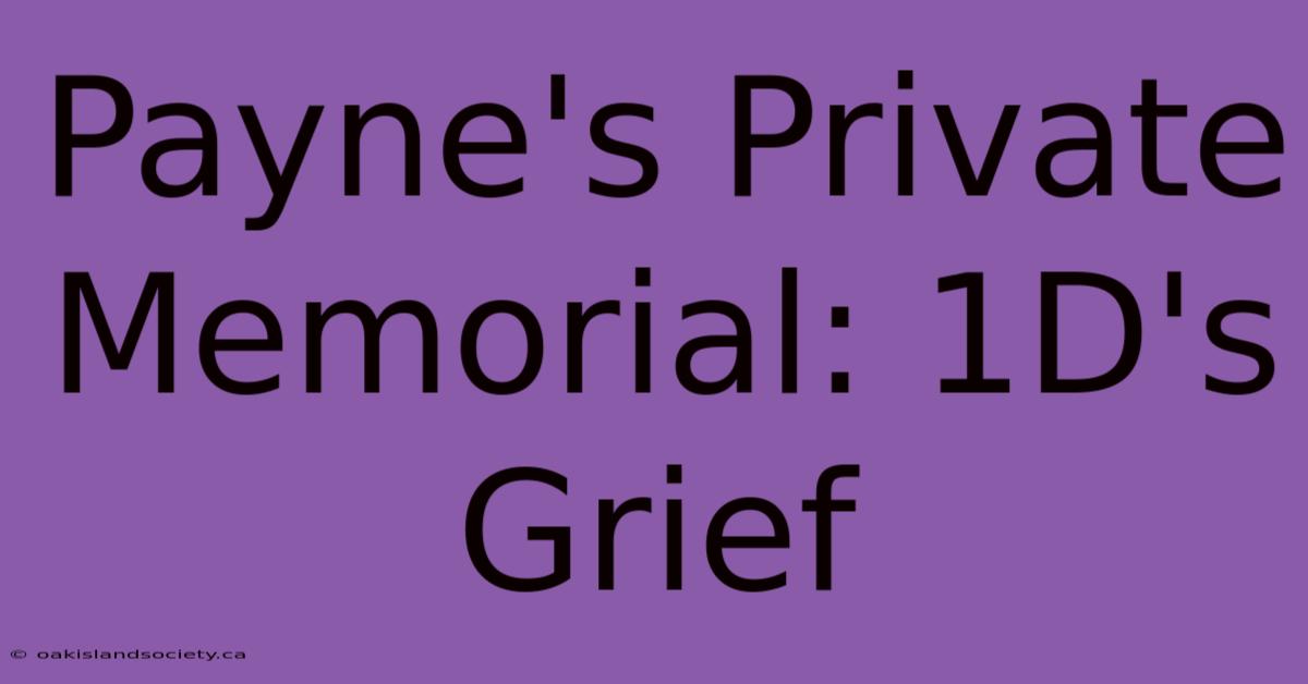 Payne's Private Memorial: 1D's Grief