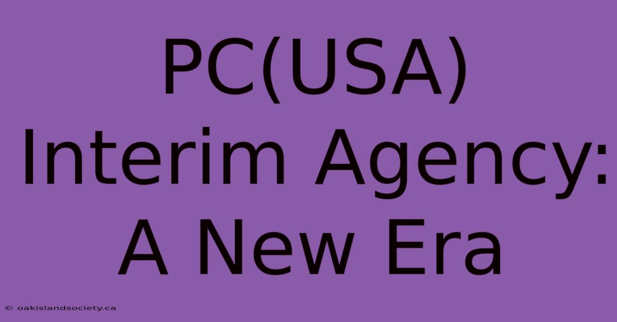 PC(USA) Interim Agency: A New Era