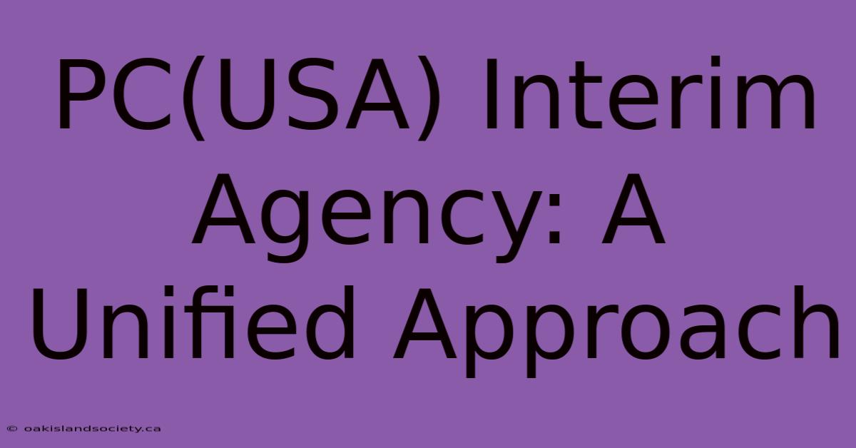 PC(USA) Interim Agency: A Unified Approach 