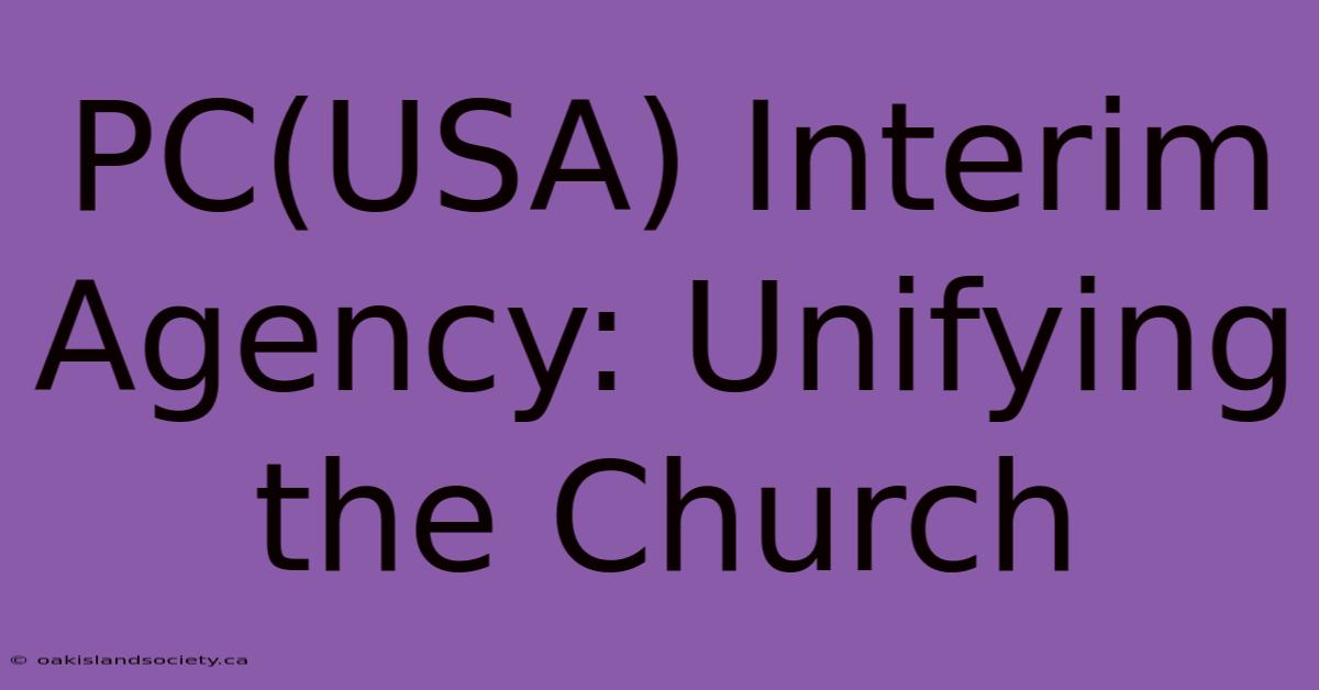 PC(USA) Interim Agency: Unifying The Church