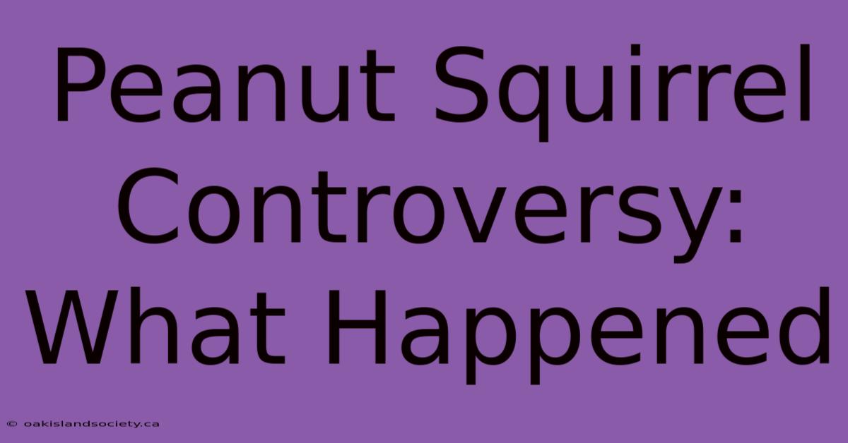 Peanut Squirrel Controversy: What Happened