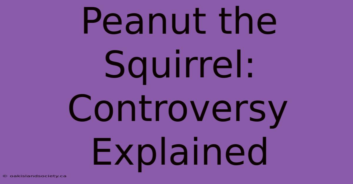 Peanut The Squirrel: Controversy Explained 