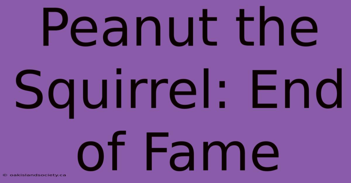 Peanut The Squirrel: End Of Fame