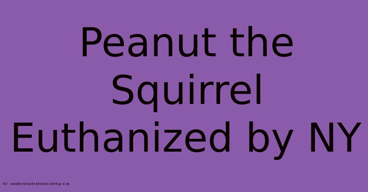 Peanut The Squirrel Euthanized By NY