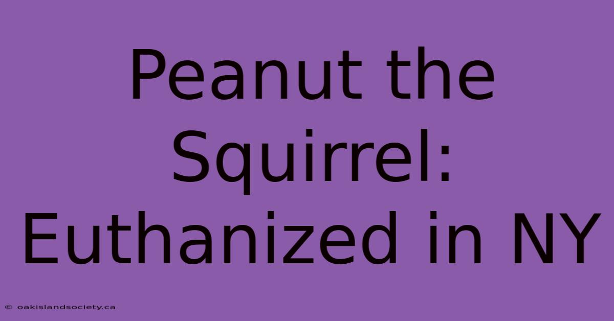 Peanut The Squirrel: Euthanized In NY 