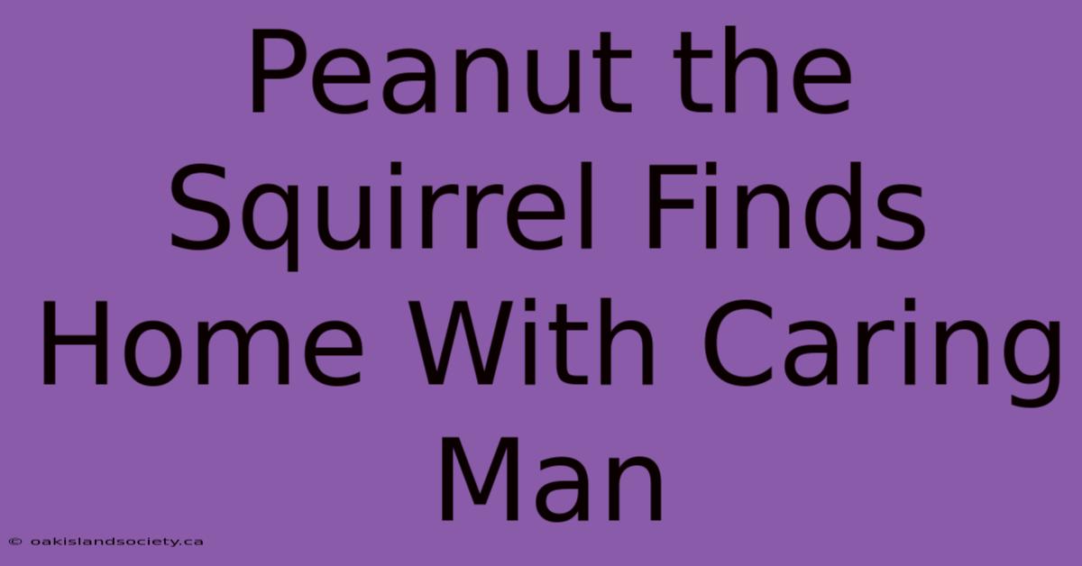 Peanut The Squirrel Finds Home With Caring Man