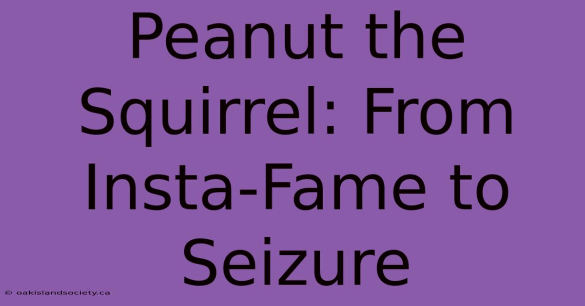 Peanut The Squirrel: From Insta-Fame To Seizure 