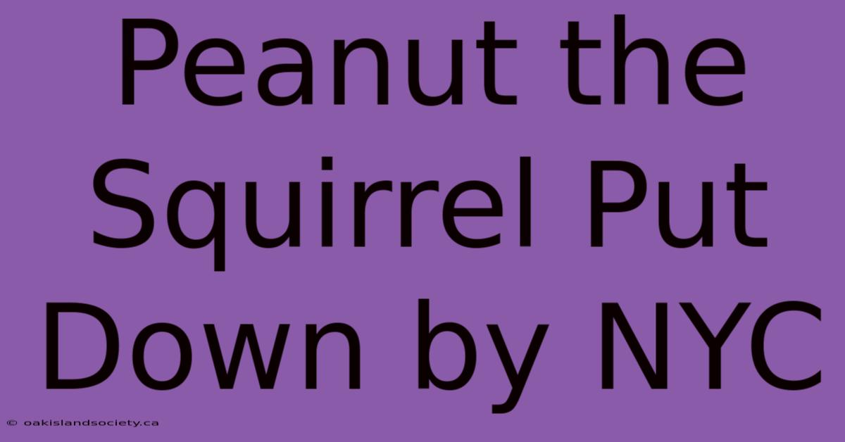 Peanut The Squirrel Put Down By NYC