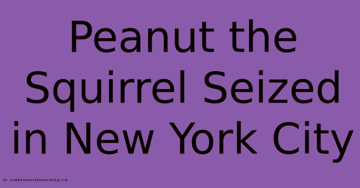 Peanut The Squirrel Seized In New York City