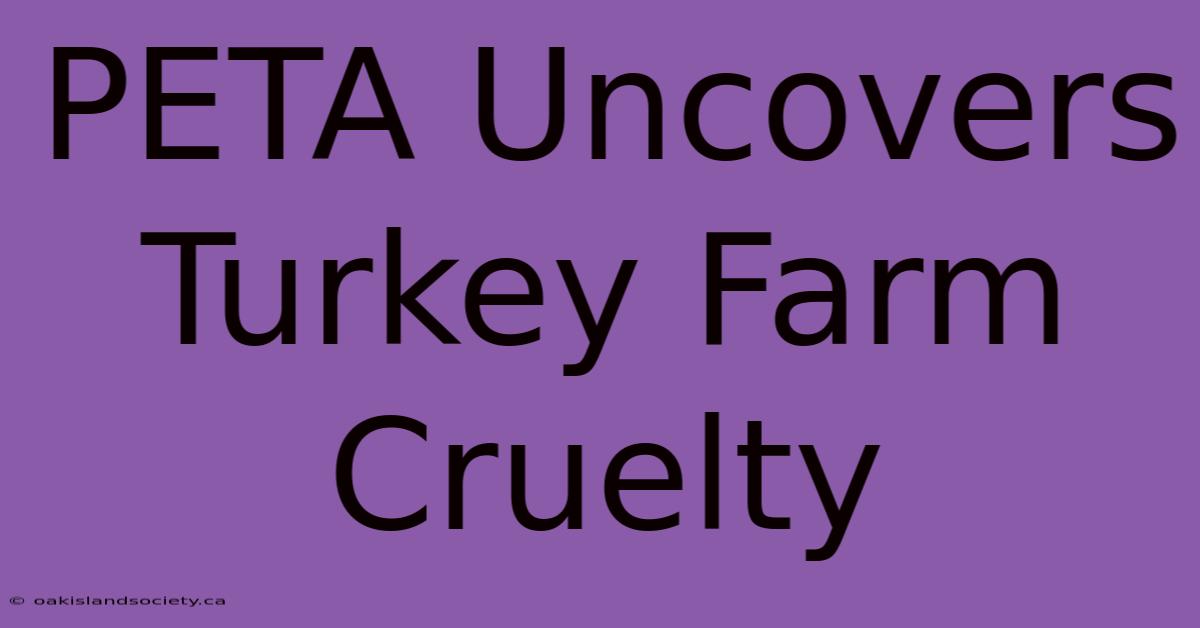 PETA Uncovers Turkey Farm Cruelty