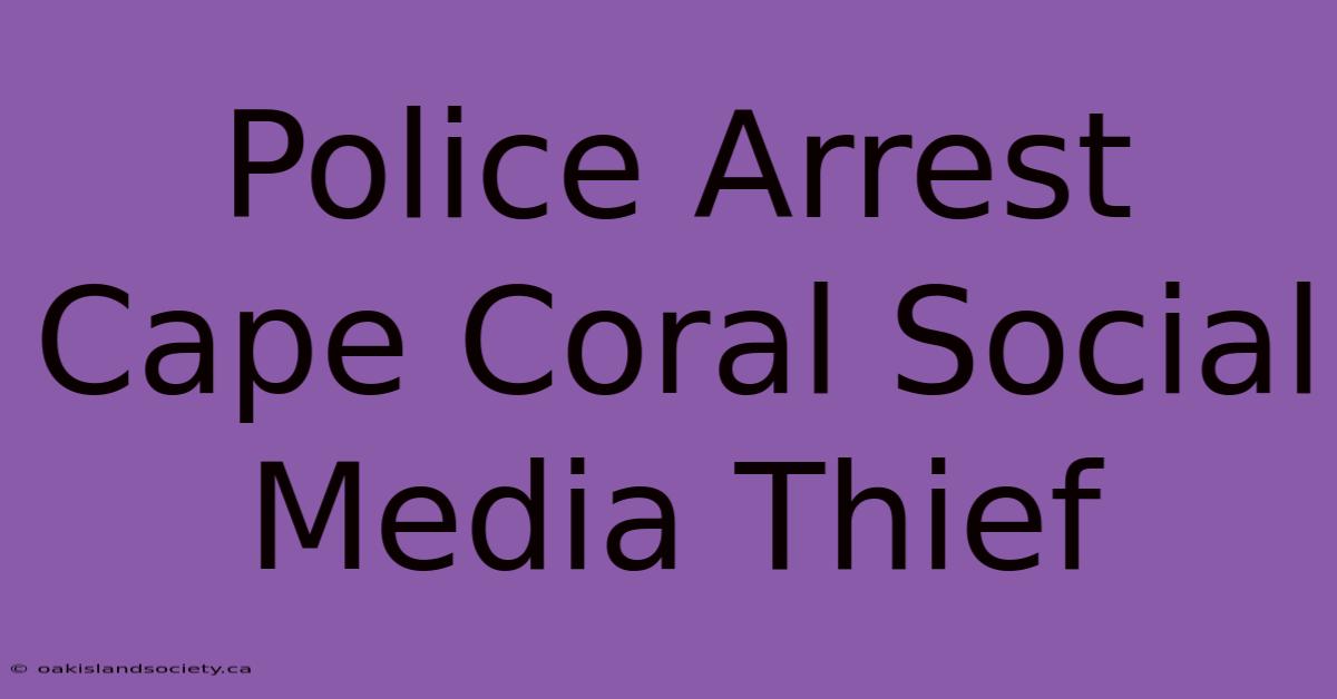 Police Arrest Cape Coral Social Media Thief