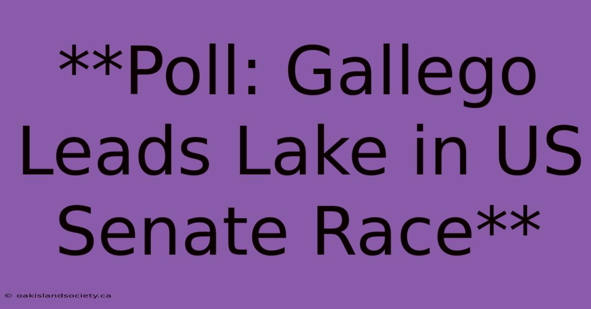 **Poll: Gallego Leads Lake In US Senate Race** 