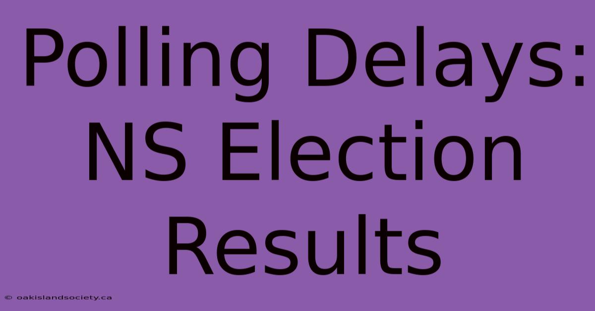 Polling Delays: NS Election Results