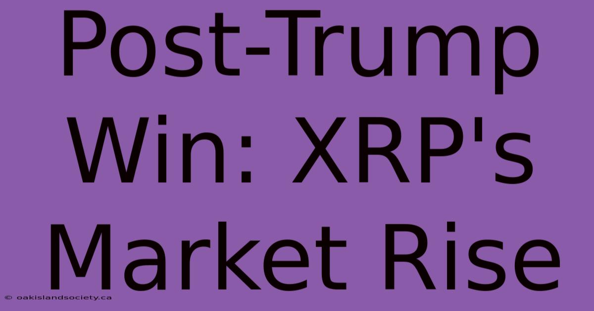 Post-Trump Win: XRP's Market Rise