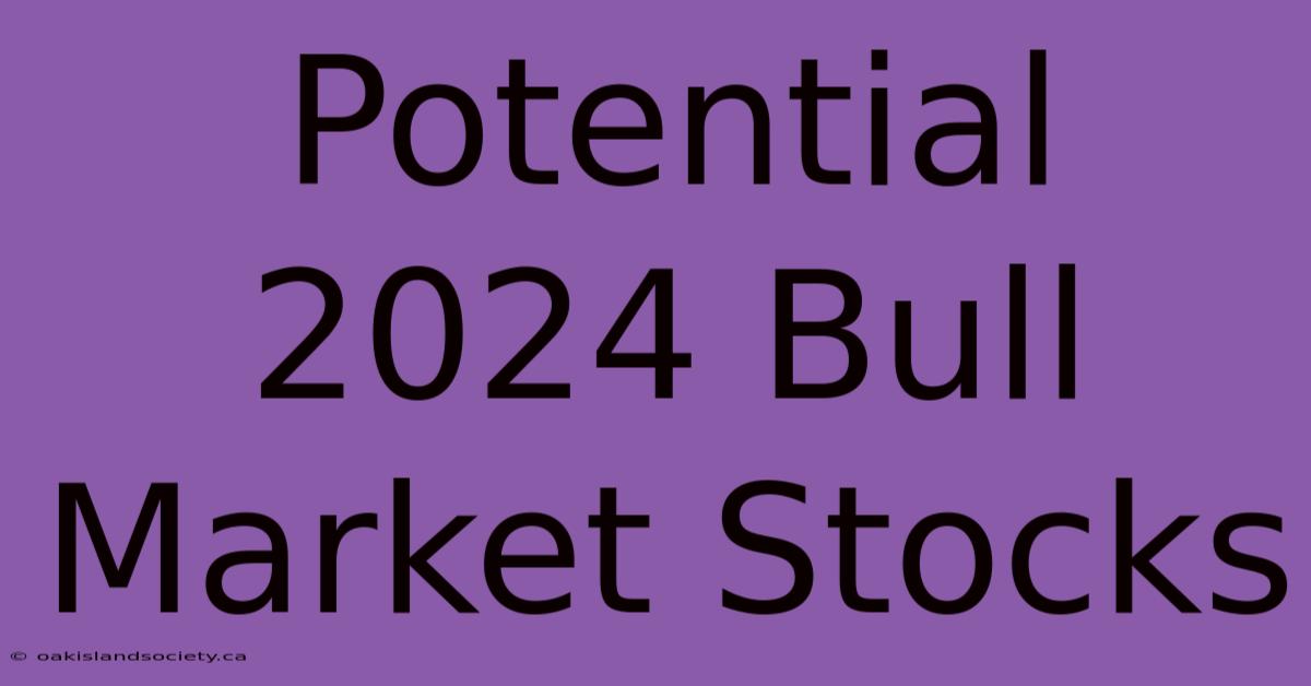 Potential 2024 Bull Market Stocks