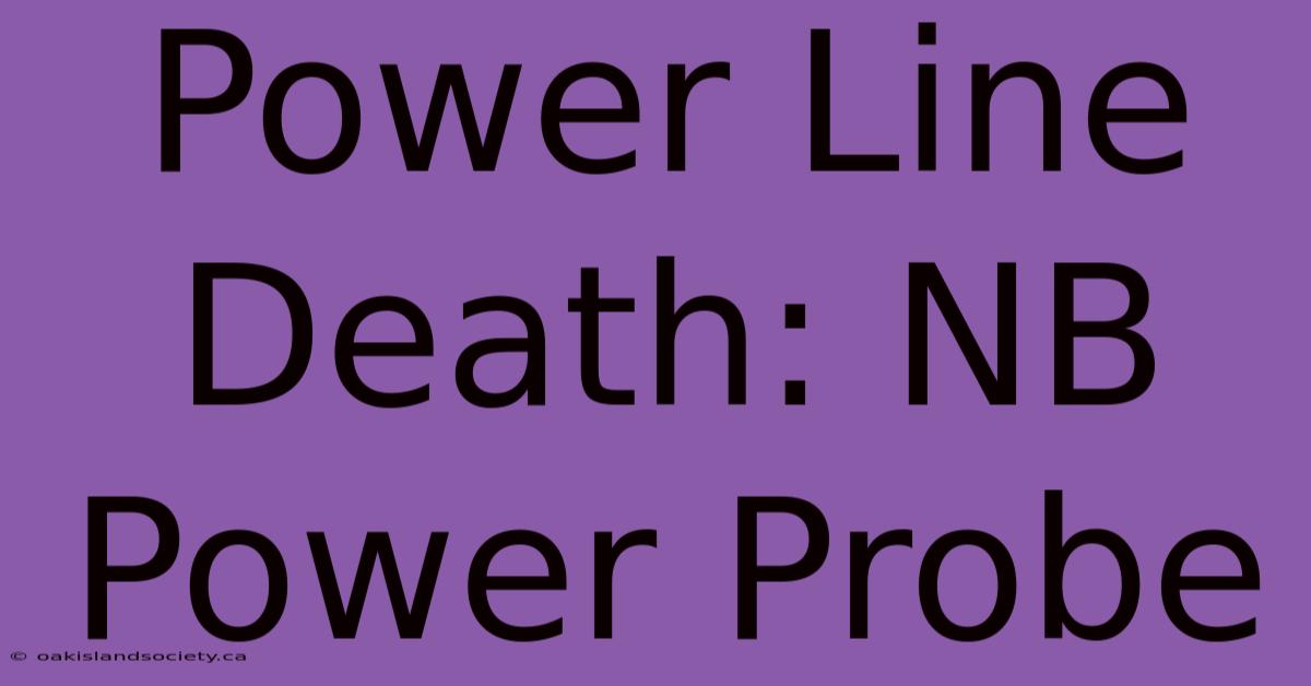 Power Line Death: NB Power Probe