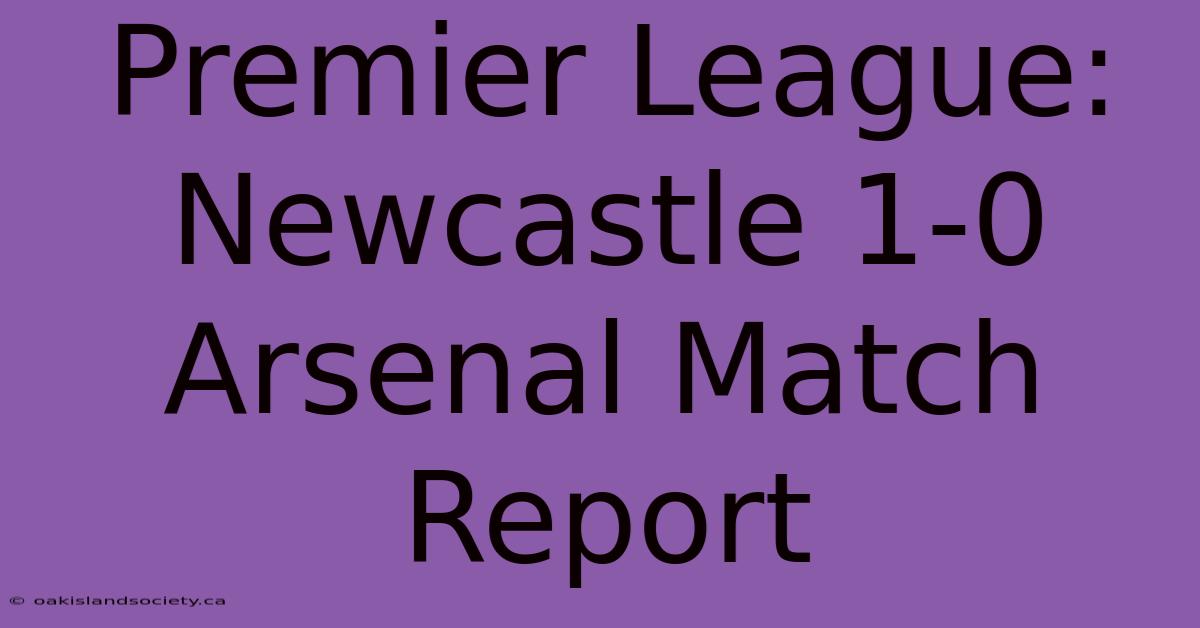 Premier League: Newcastle 1-0 Arsenal Match Report 