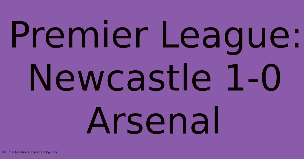 Premier League: Newcastle 1-0 Arsenal