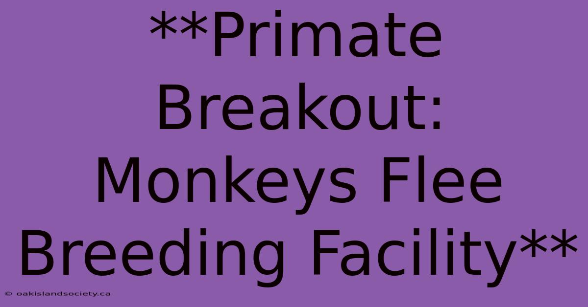 **Primate Breakout: Monkeys Flee Breeding Facility**