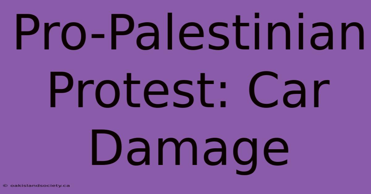 Pro-Palestinian Protest: Car Damage