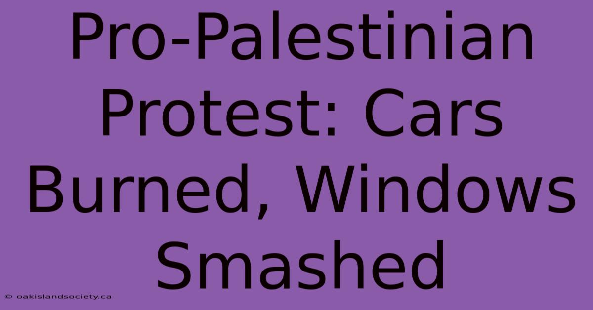 Pro-Palestinian Protest: Cars Burned, Windows Smashed