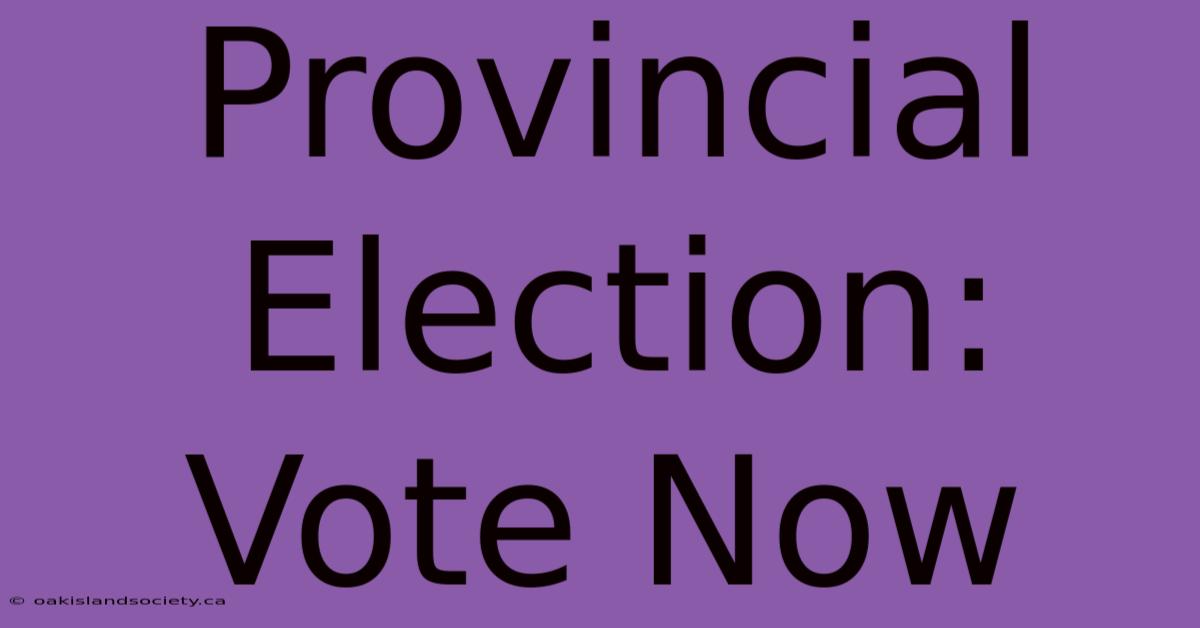 Provincial Election: Vote Now