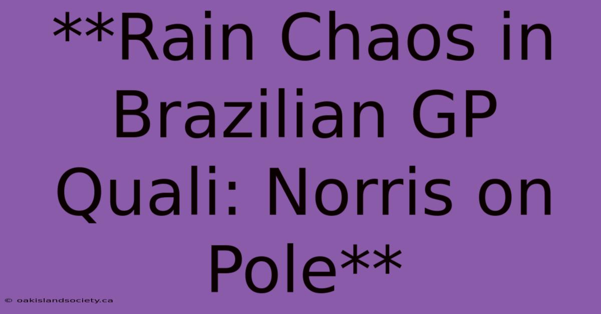 **Rain Chaos In Brazilian GP Quali: Norris On Pole** 