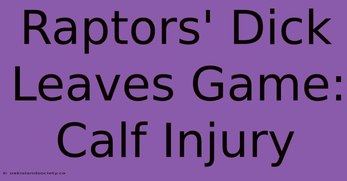 Raptors' Dick Leaves Game: Calf Injury