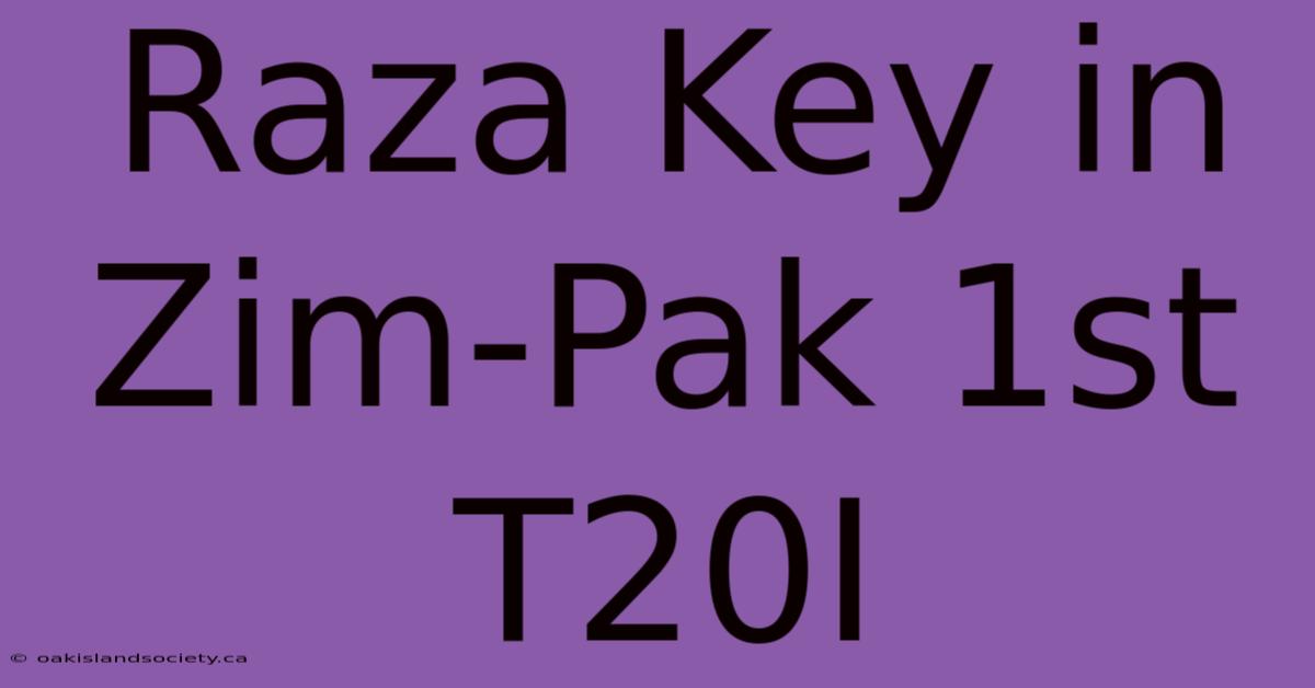 Raza Key In Zim-Pak 1st T20I