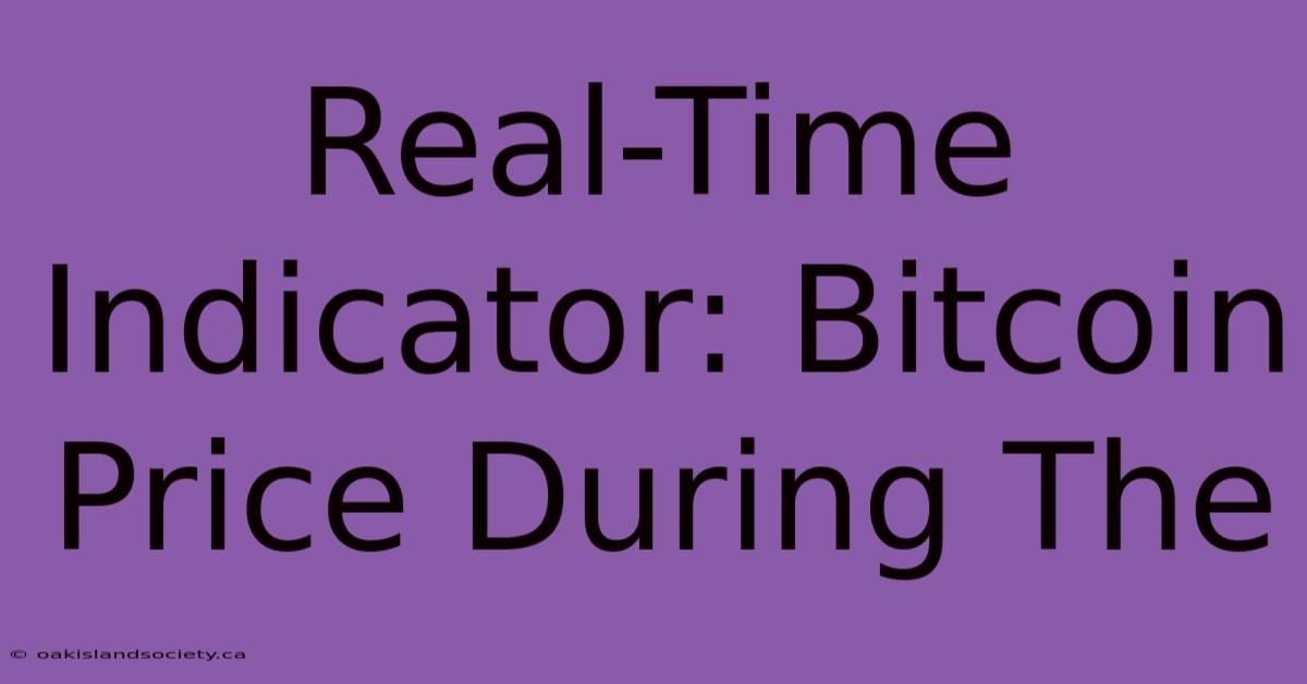 Real-Time Indicator: Bitcoin Price During The 