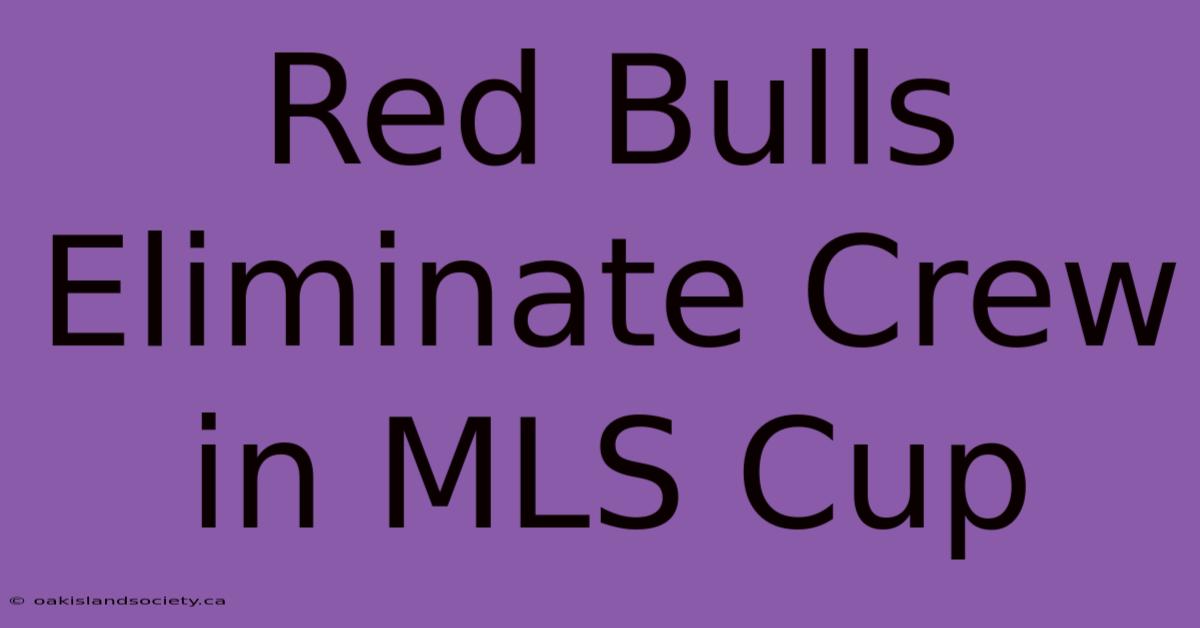 Red Bulls Eliminate Crew In MLS Cup 