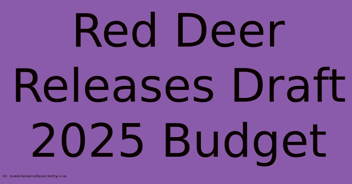 Red Deer Releases Draft 2025 Budget